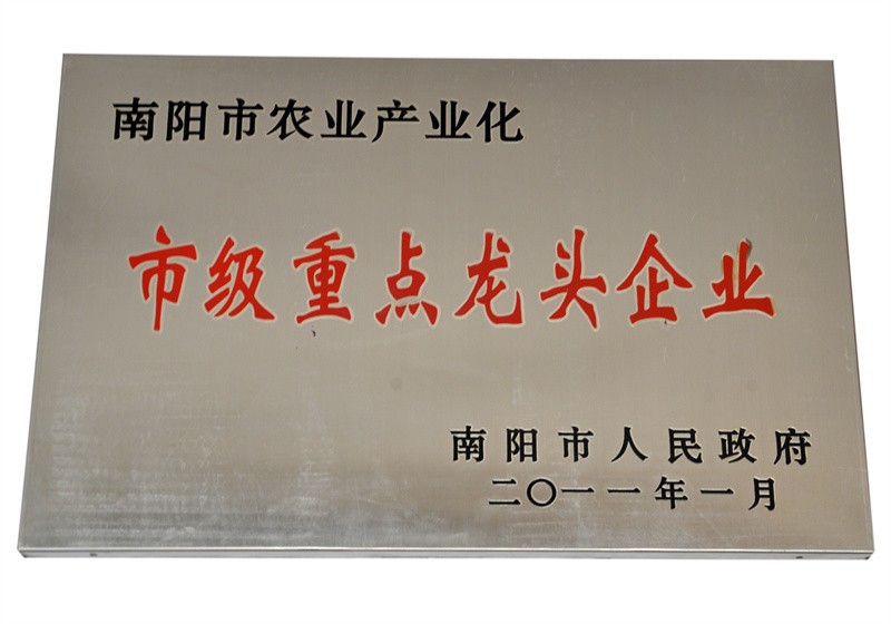 重點(diǎn)龍頭企業(yè)