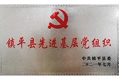 鎮(zhèn)平縣先進(jìn)基層黨組織